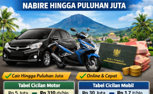 Kredit Jaminan BPKB Online Nabire: Cara Cepat Dapat Dana Tunai Tanpa Ribet